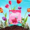 imageAlani Gummis Sour Gummy Worms Low Sugar Gummy Candy 6G  90 Calories per Bag  OnTheGo Snacks  Gluten Free  6G of Fiber  Naturally Flavored  Pack of 12Sour Worms